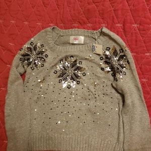 Winter Sweater And Cat Game. Sweater has silver se